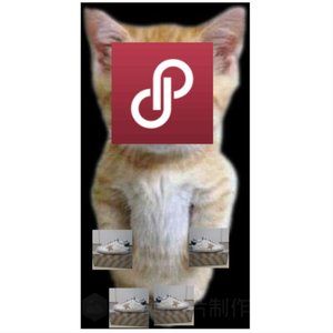 Women's Super-Star with gold star and black glitter heel tab